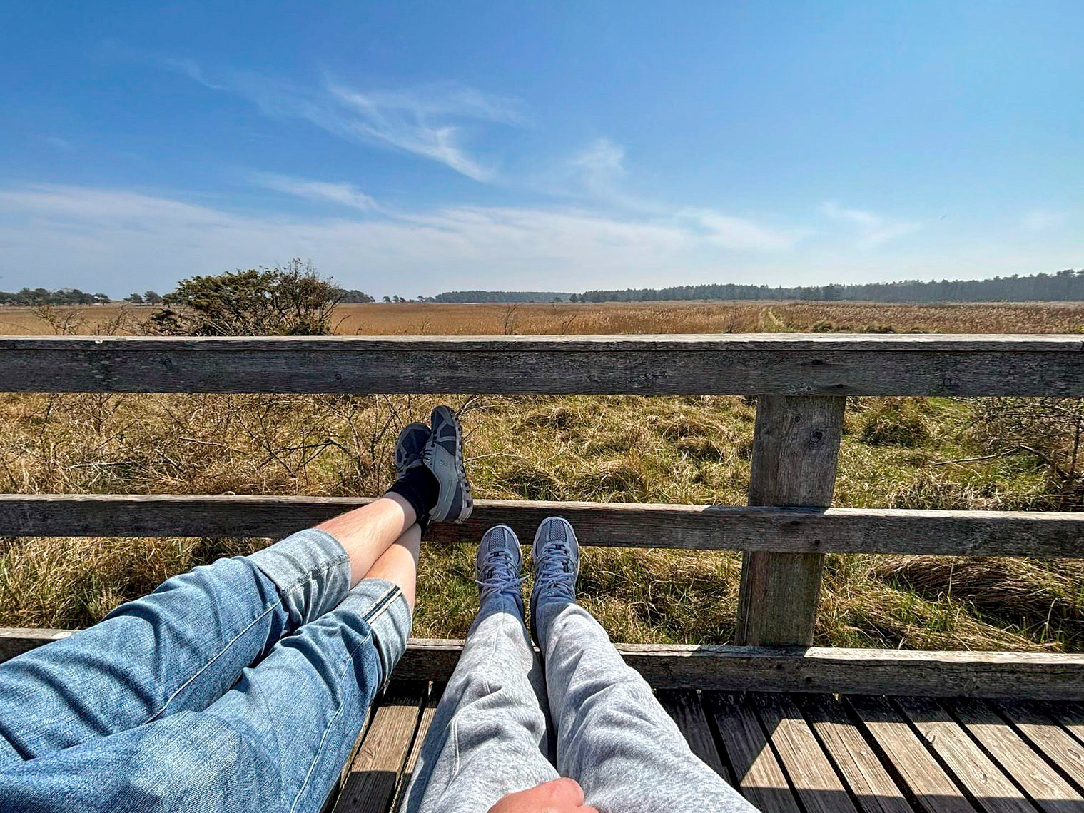 d762f787-0c20-483b-989a-710a6778c51b-Bearbeitet